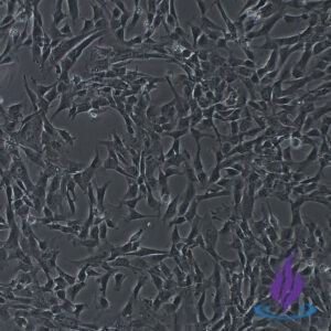 PSCPRO2® - 5M